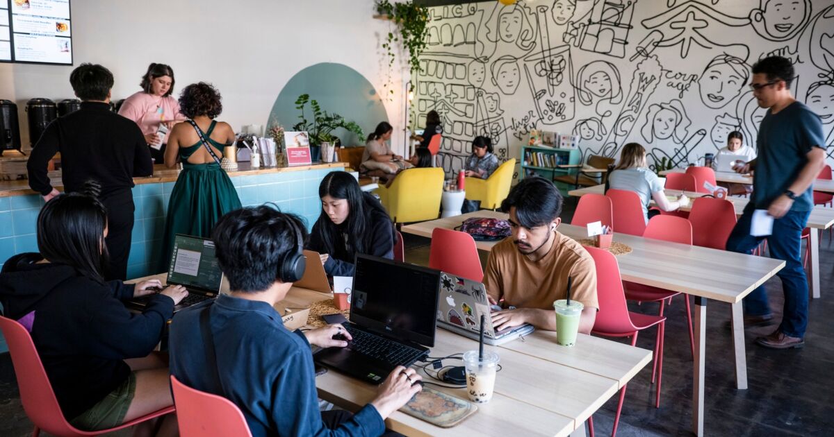 Two years after PPP, small businesses still struggle to access capital 1 Two years after PPP, small businesses still struggle to access capital