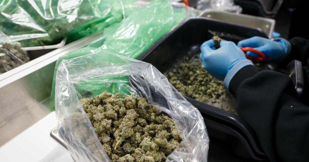 Can the digital payments revolution finally wean cannabis shops off cash? 1 Can the digital payments revolution finally wean cannabis shops off cash?