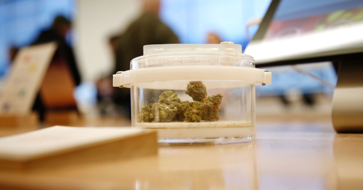 Banks set to move in on credit unions' cannabis turf 1 Banks set to move in on credit unions' cannabis turf