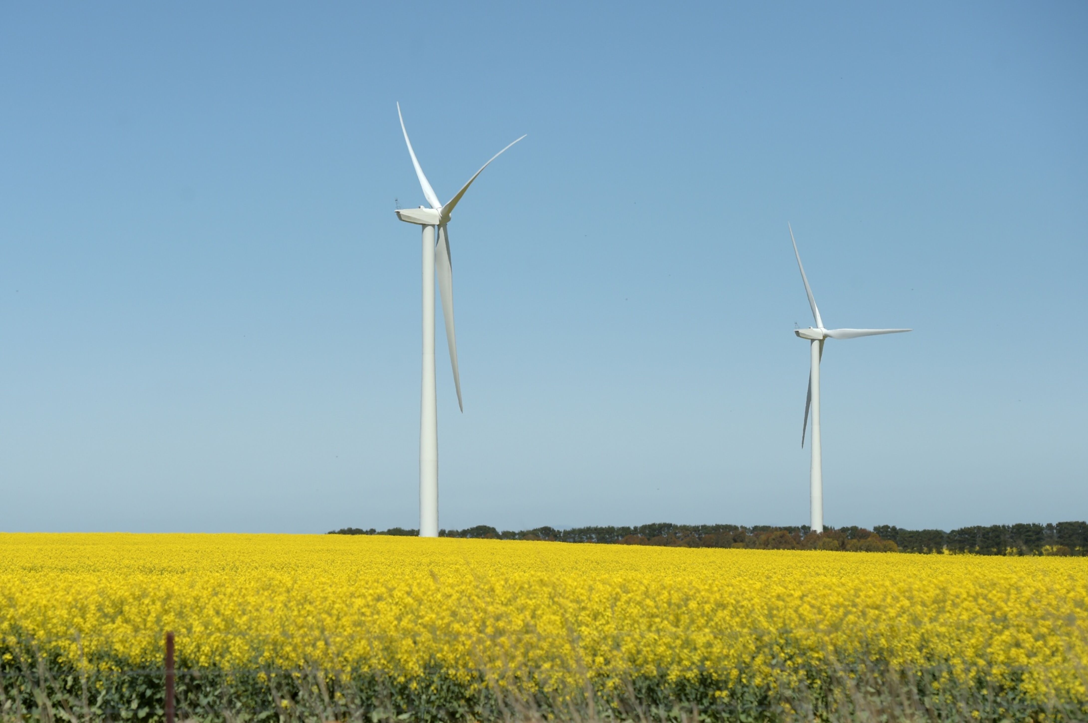 World's biggest banks made $3 billion on green debt in 2023