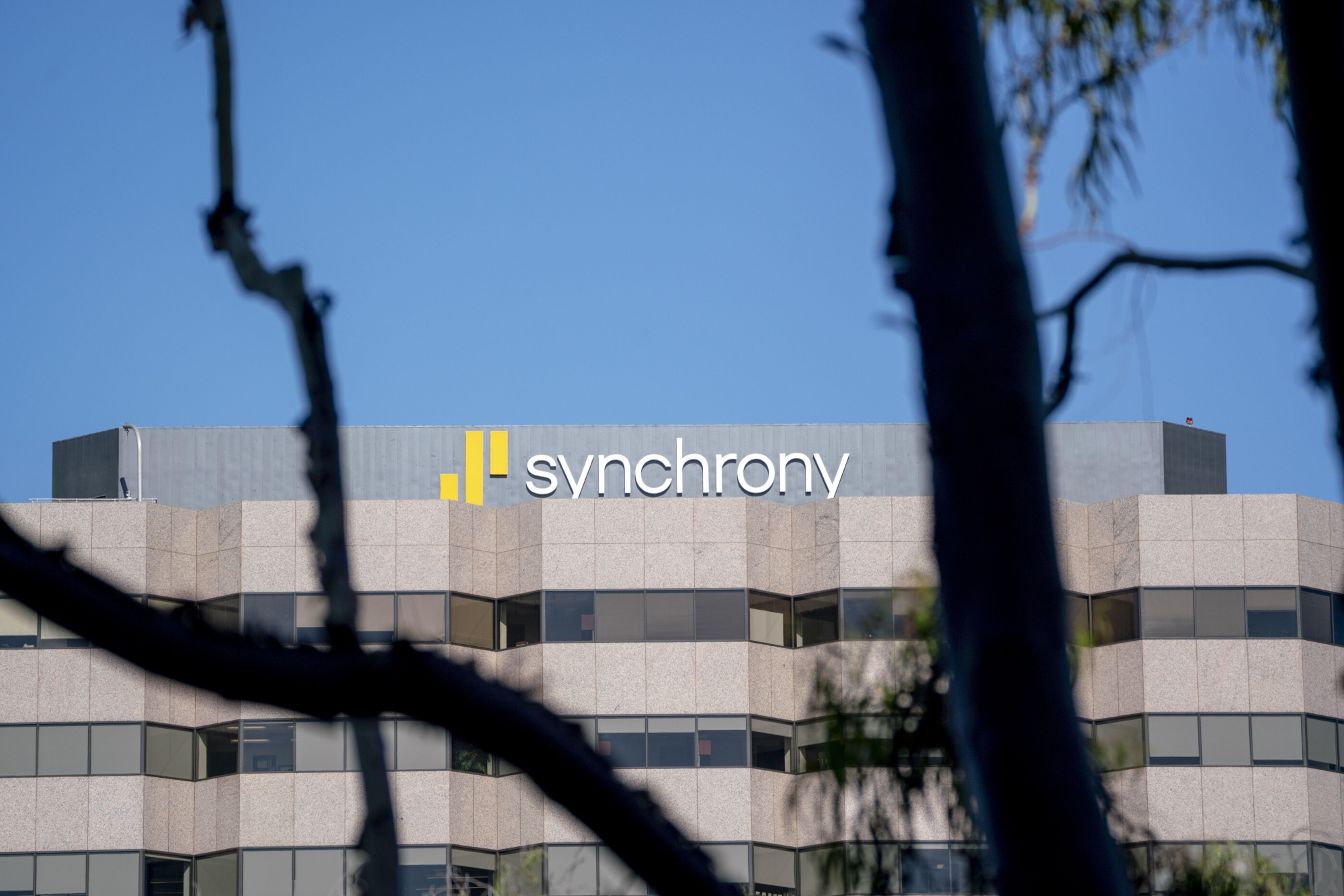 Synchrony sells pet insurance unit, cashing in on pandemic-era boom