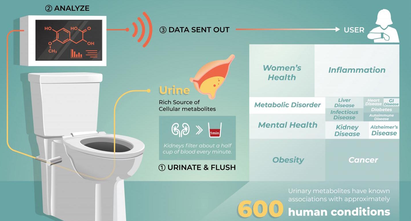 Smart toilets seen as future realtime health monitoring tech Health