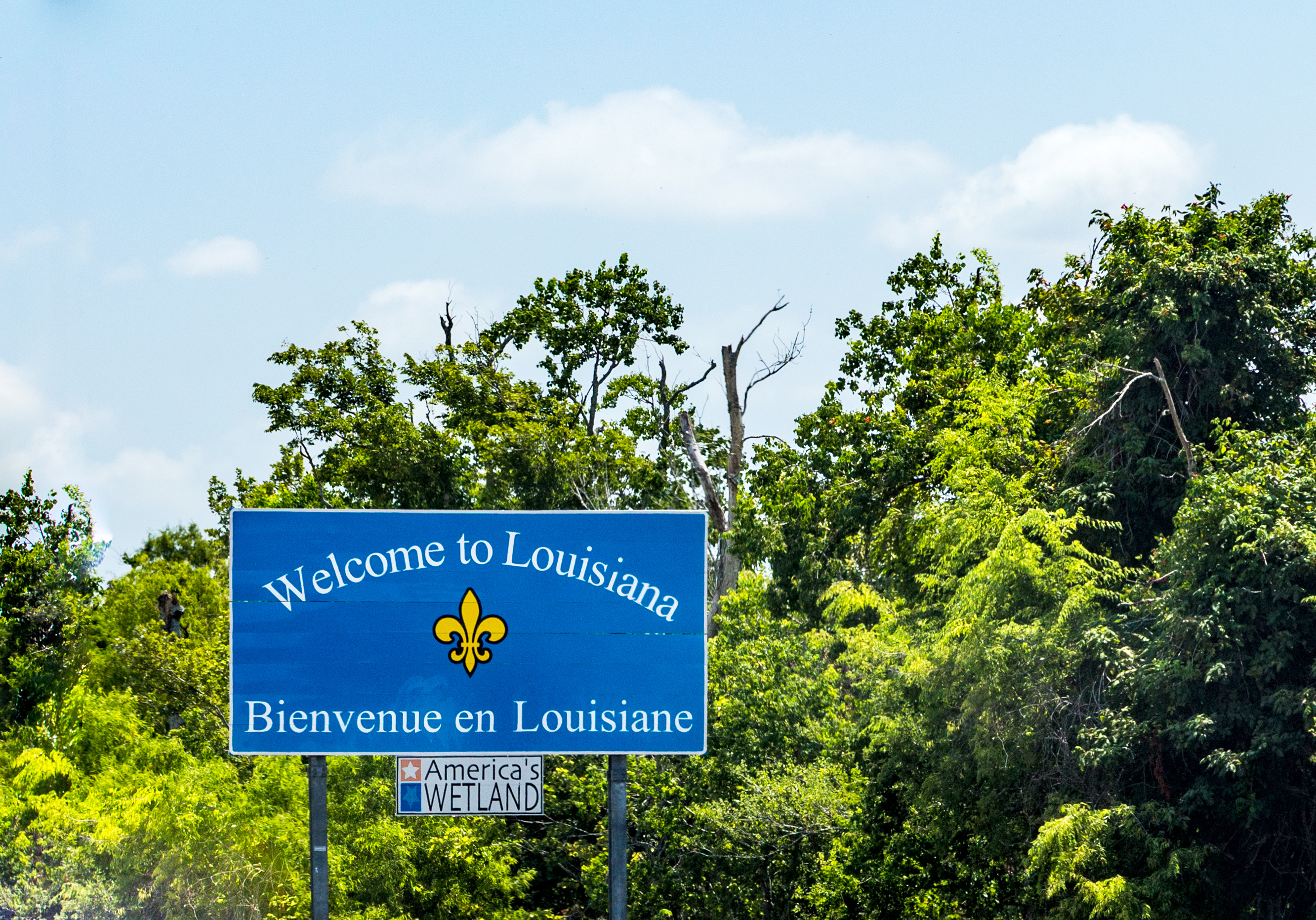 Louisiana bank looks to bulk