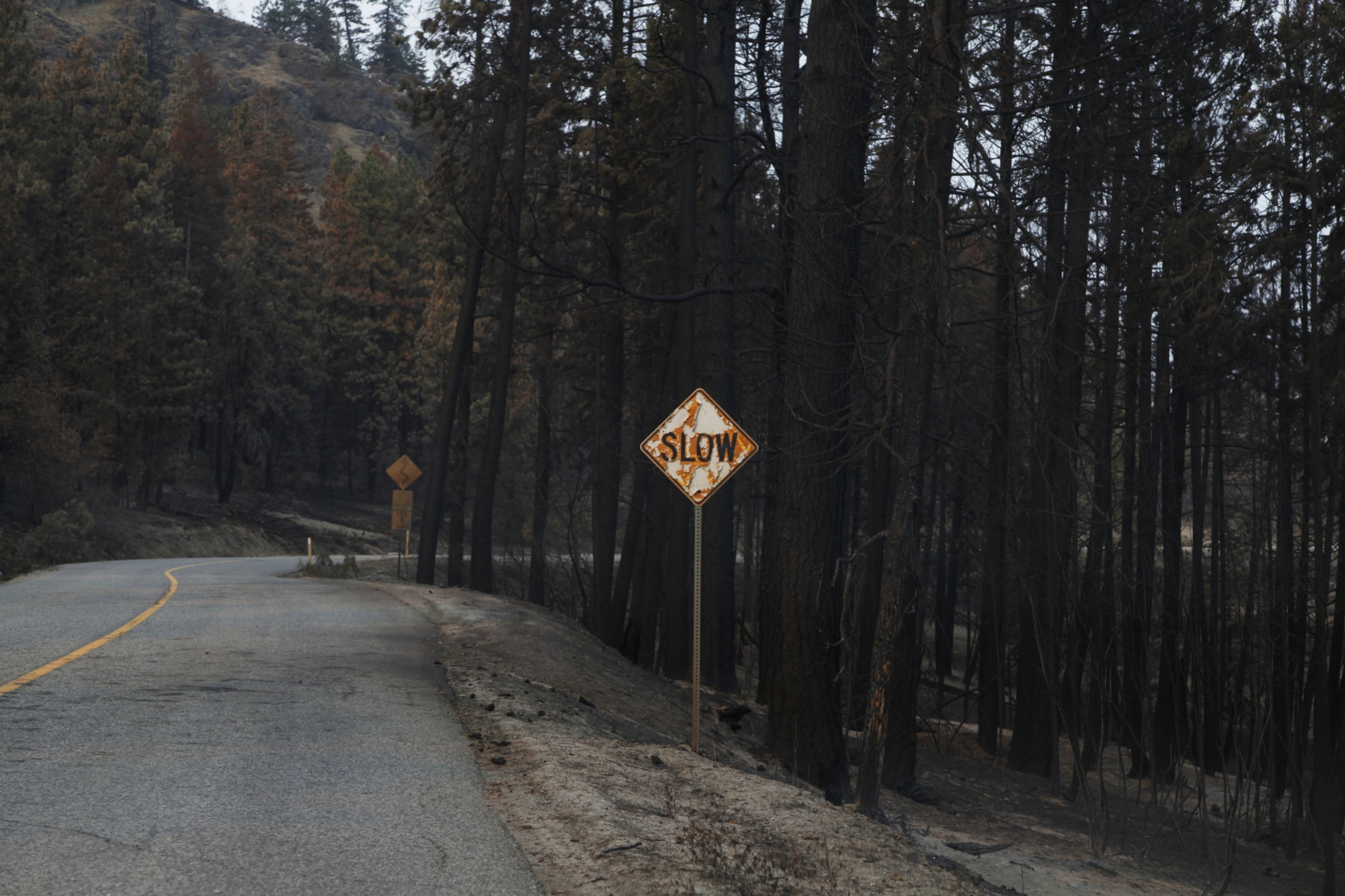 Global banks falling behind on emissions reporting, study shows