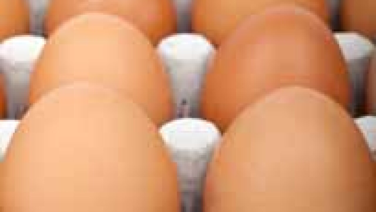 fotolia-eggs-crop.jpg