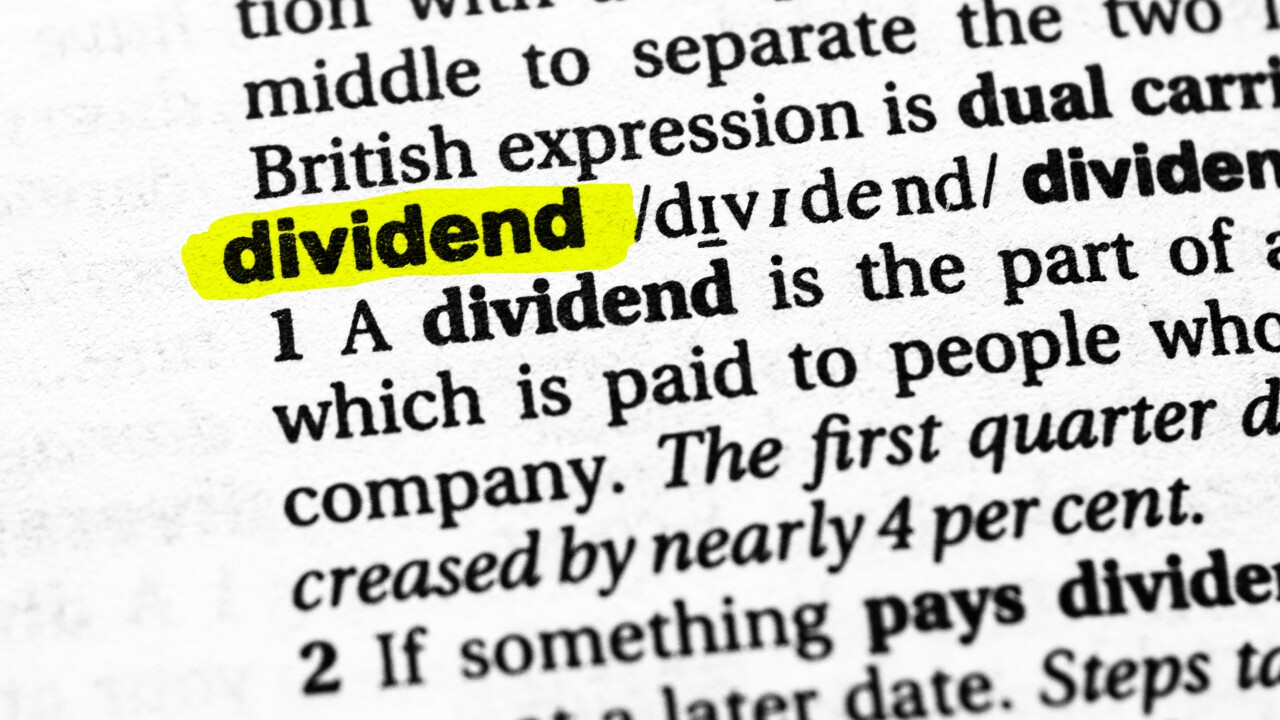 Highlighted word dividend concept and meaning.