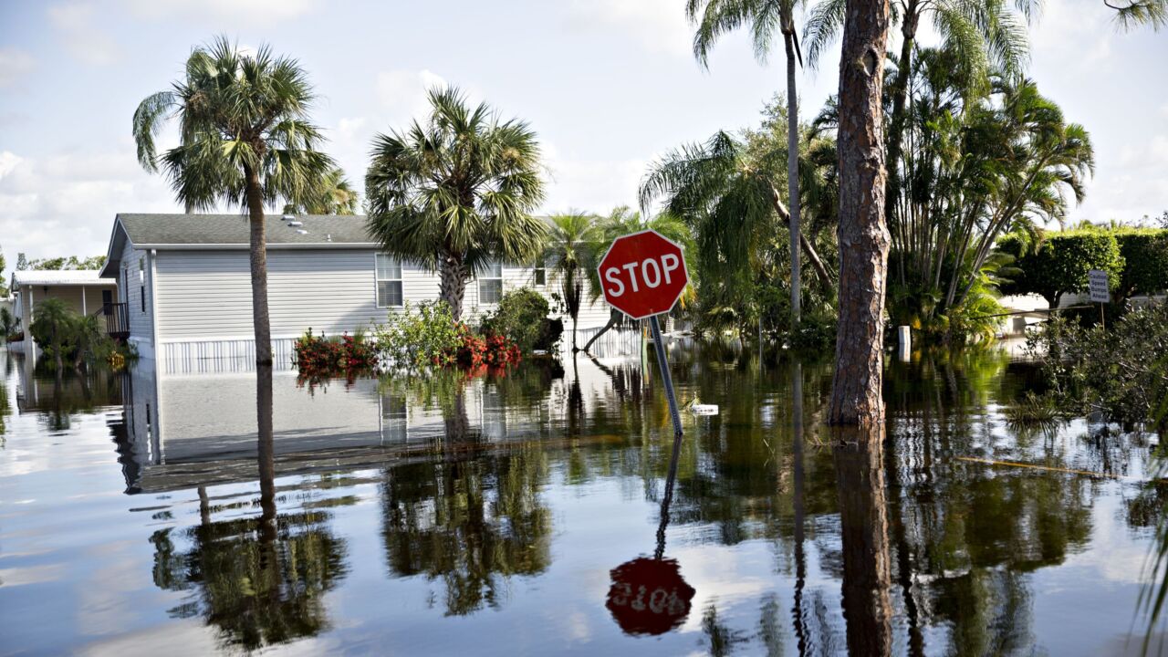 The Voloridge Sustainability Fund will focus on companies affected by events such as floods, fires and natural disasters; firms that invest in efficient technologies; and electric-car makers and their suppliers, according to a person familiar with the matter.
