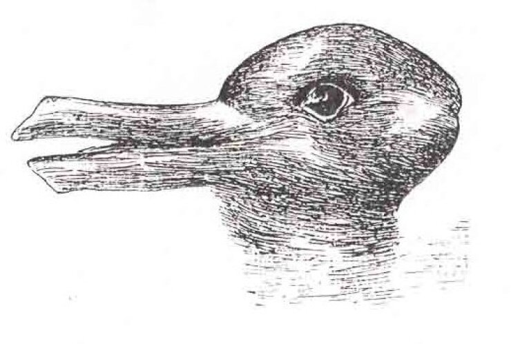 Austrian-British philosopher Ludwig Wittgenstein's influential drawing. Whether you see a rabbit or a duck depends upon a host of factors, including sociological and psychological ones.