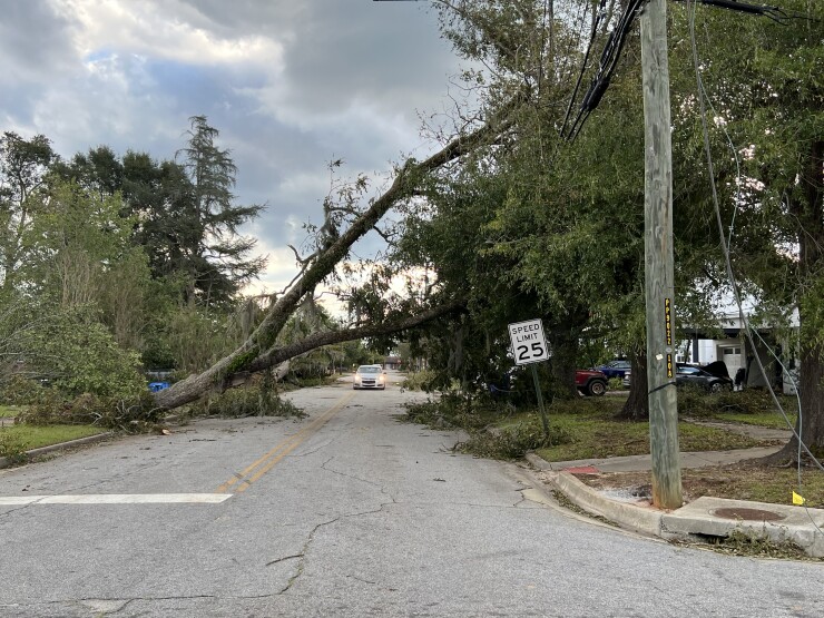 Fallen trees in Louisville, Georgia, after Hurricane Helene