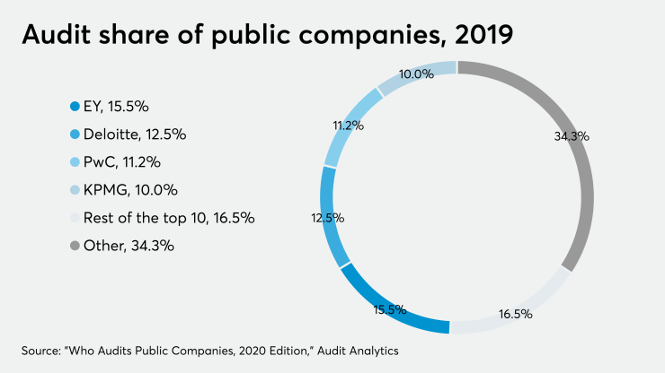 AT-06420- who audits public companies 2019