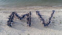 Martha's Vineyard Bank Best Banks 2020.jpg