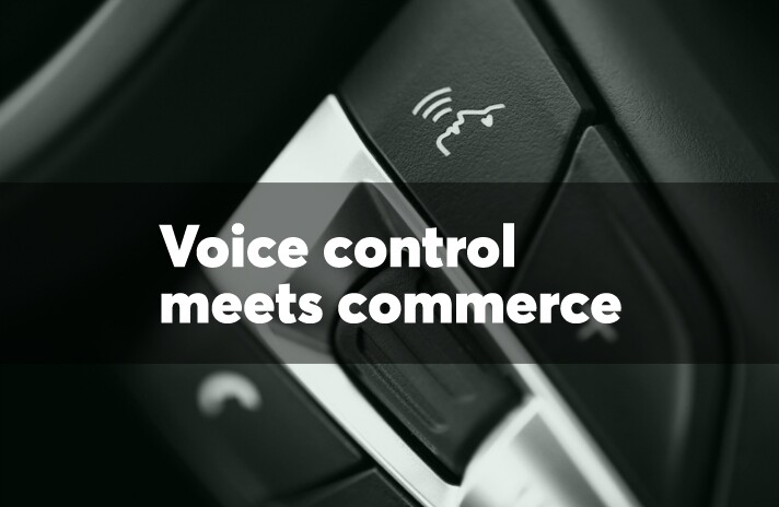 slide-100417-voice