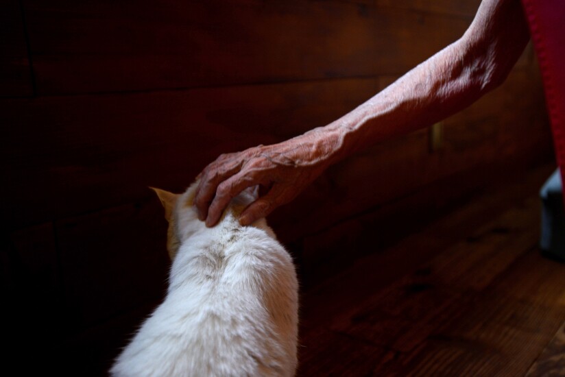 man-petting-cat-bl080614