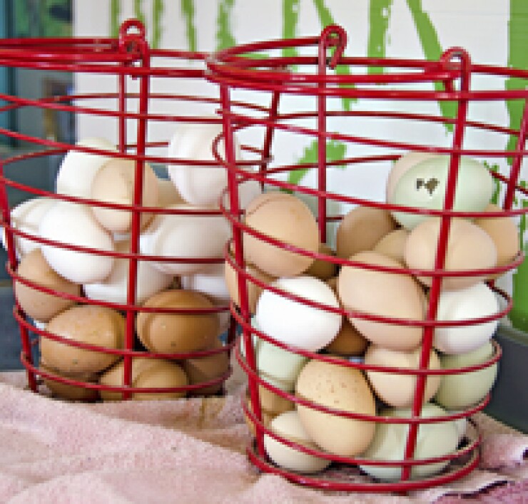 eggsinwirebasket-ts-card.jpg