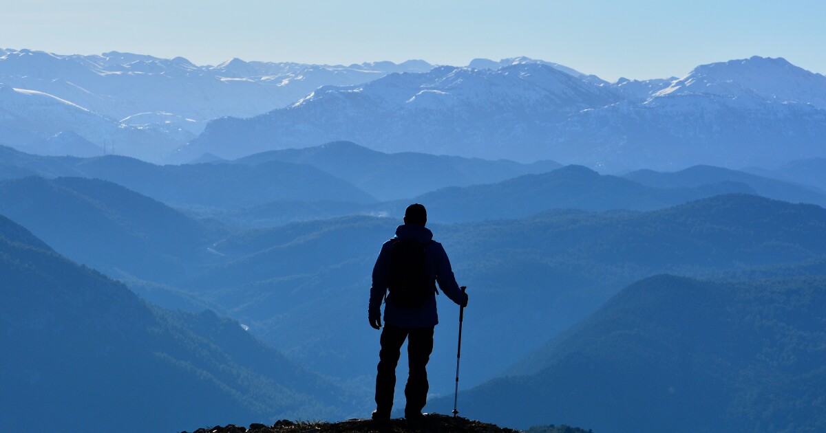 2026 expert predictions for wealth management 2026 expert predictions for wealth management