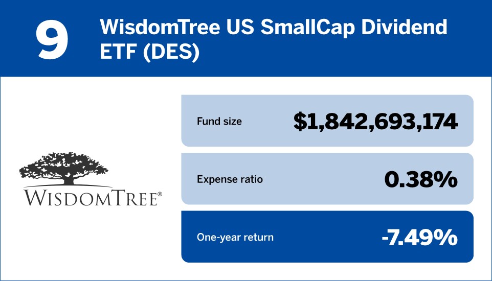Financial Planning_10 worst small-cap ETFs of the past year9.jpg