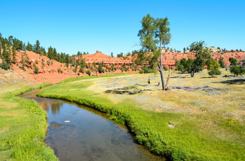 Cheyenne Wyoming Adobe Stock