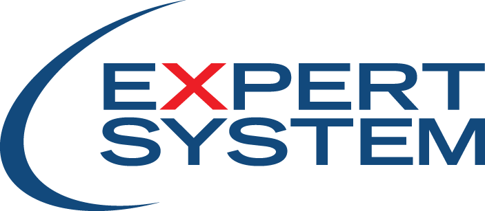 Expert System Logo