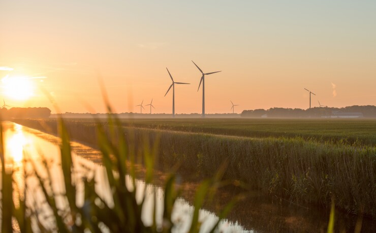 Wind turbines in a field of crops; the sun is setting.