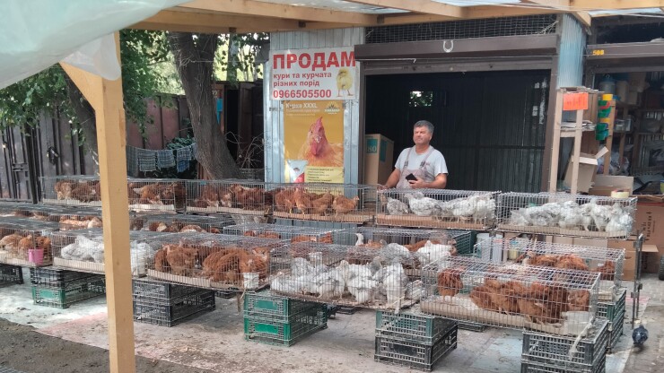 Ukraine_1 edited.jpg