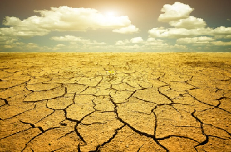 drought-fotolia.jpg