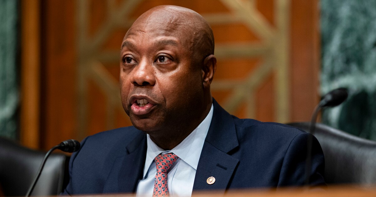Senate Republicans propose raising SAR threshold to $30K
