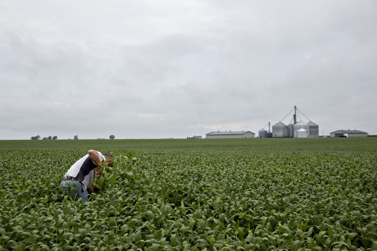 A picture of a field in Kentland, Indiana.