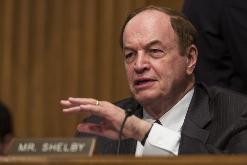 shelby.jpg