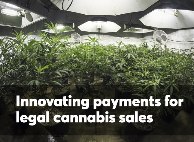 Innovations for legal cannabis payments