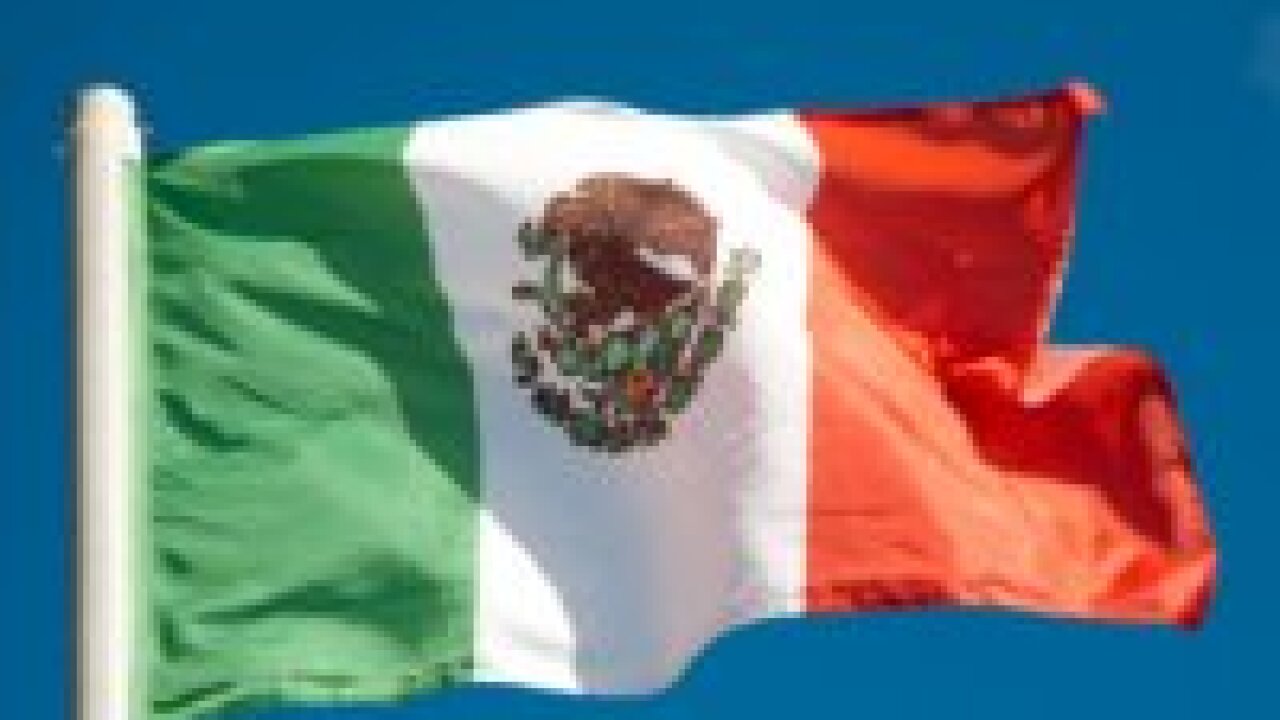 mexicanflag011812.jpg