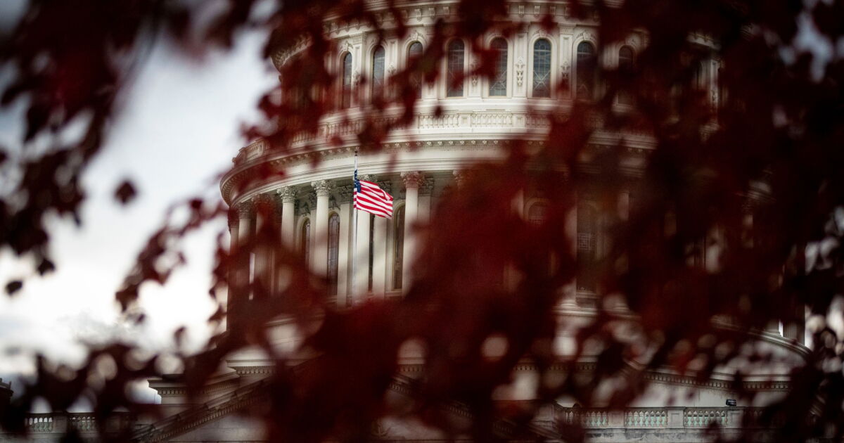 Employer tax credit crackdown could hit industry Employer tax credit crackdown could hit industry