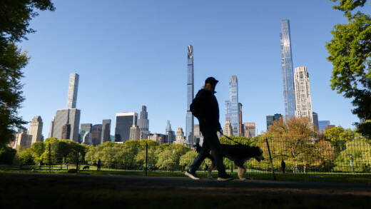 A man walking a dog in Central Park with residential luxury towers along Billionaire's Row in New York behind him