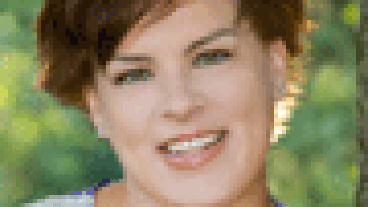 susandreier.gif