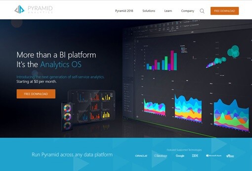 Pyramid-Analytics 20.jpg