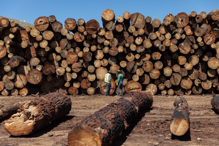 Logs at a sawmill in Nevada