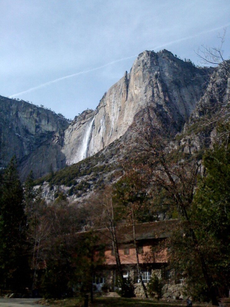 yosemite-branch.jpg