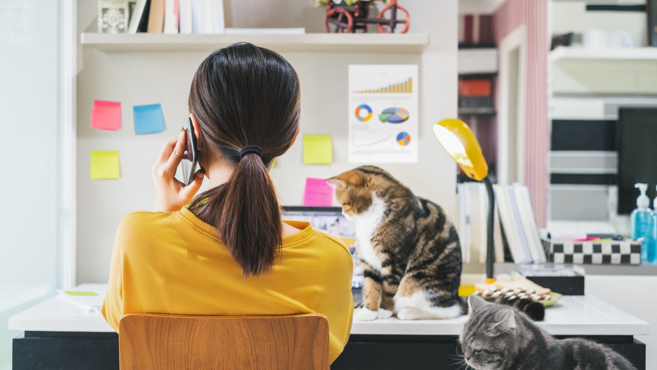 A woman is in her home office, talking on the phone while her two cats sit around her.