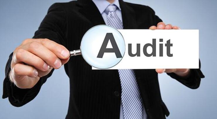 Thumbnail for Video: Problems in Auditing