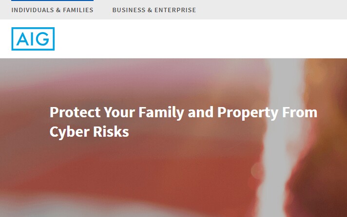 13)-AIG.jpg