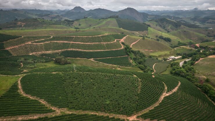 An aerial view of a coffee plantation on a hillside in Brazil. Photographer: Jonne Roriz/Bloomberg