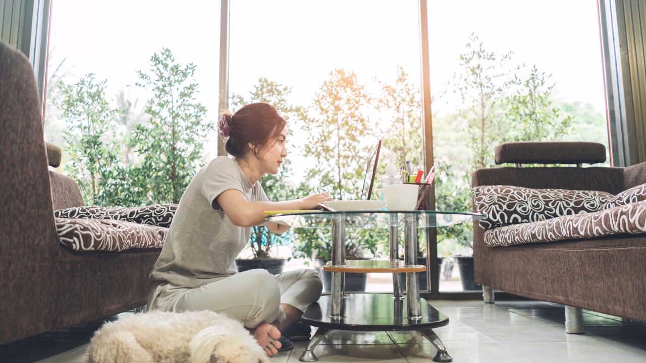 A young woman works on a laptop at her coffee table; her dog sleeps next to her.