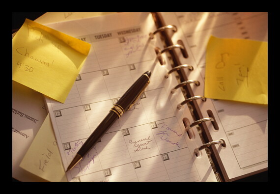 dayplanner-ts080211.jpg