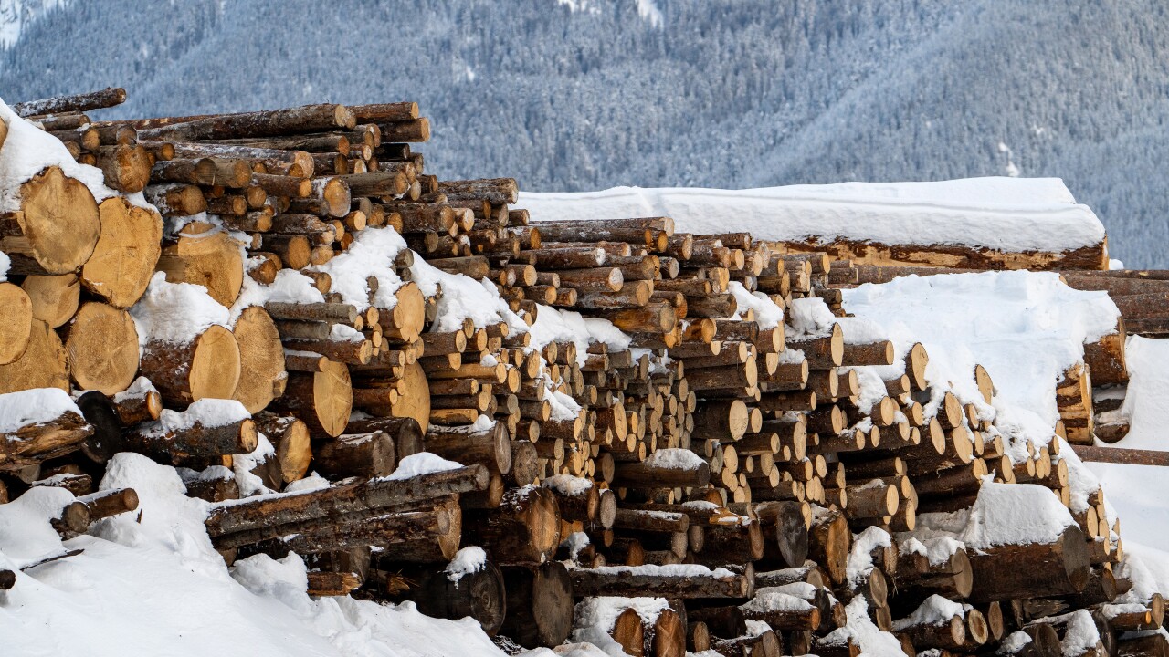 Operations At A Lumber Yard As Trade War With US Averted For Now