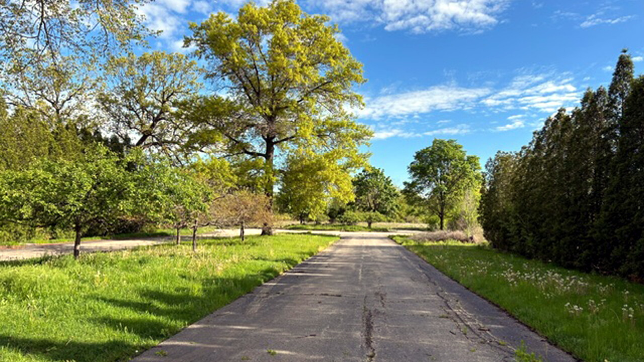 An unevenly paved road runs through trees and grass