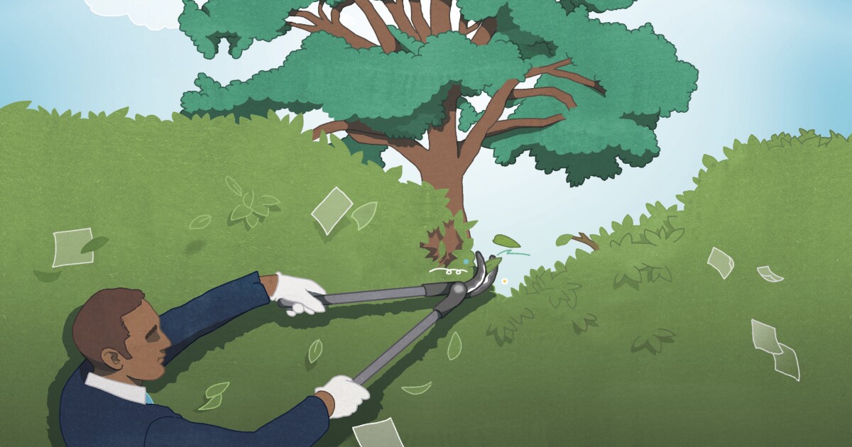 Advisory services in accounting: Pruning for growth Advisory services in accounting: Pruning for growth