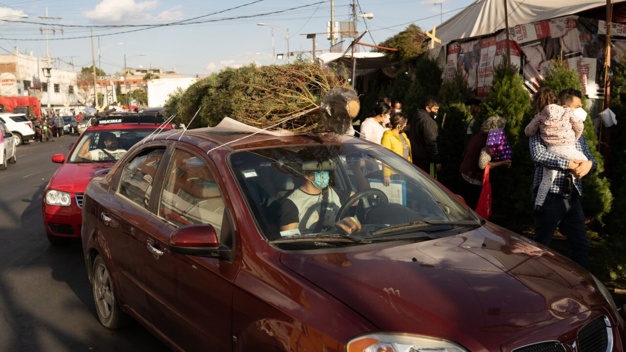 A customer leaves a market with a Christmas tree secured to their car roof in Mexico City, Mexico, on Saturday, Dec. 5, 2020. Mexican President Andres Manuel Lopez Obrador pleaded with residents on Friday to stop crowding the streets and stay home in December as citywide occupancy at hospitals was 69%, the Associated Press reported. Photographer: Alejandro Cegarra/Bloomberg