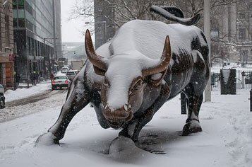 bull-n-snow-christine-allison.jpg