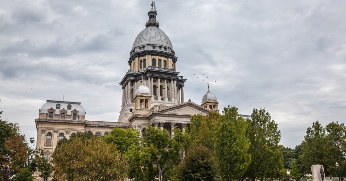 Illinois to issue .8 billion of general obligation bonds Illinois to issue .8 billion of general obligation bonds