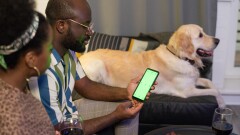 People watching a screen of a mobile phone while sitting on sofa with a dog.