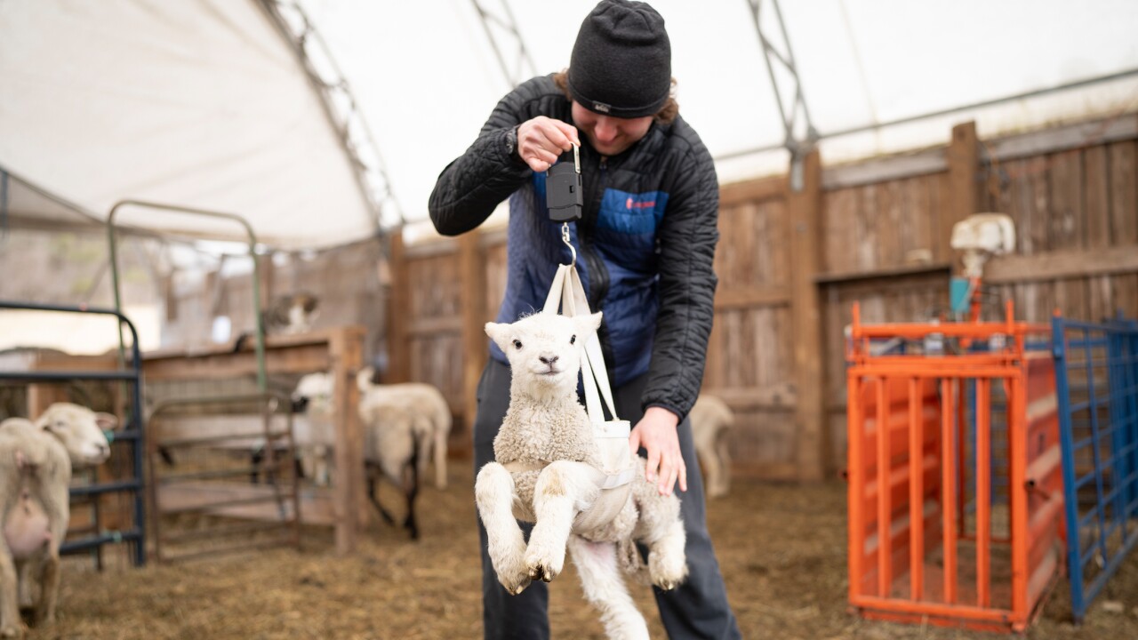 sterling-college-bloomberg